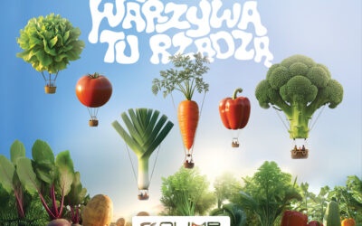 Warzywa tu rządzą w Restauracjach Olimp – to coś, czego nie możesz przegapić!