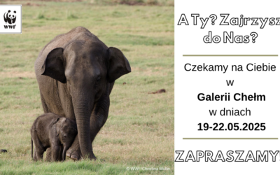 DOWIEDZ SIĘ JAK MOŻESZ POMÓC ZAGROŻONYM GATUNKOM Z PRZEDSTAWICIELAMI WWF!