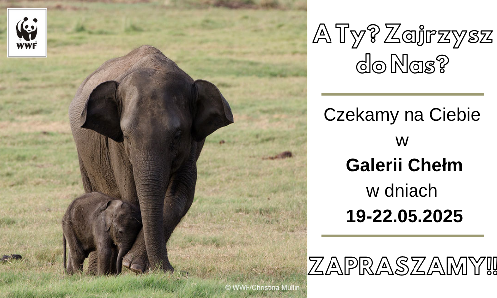 DOWIEDZ SIĘ JAK MOŻESZ POMÓC ZAGROŻONYM GATUNKOM Z PRZEDSTAWICIELAMI WWF!